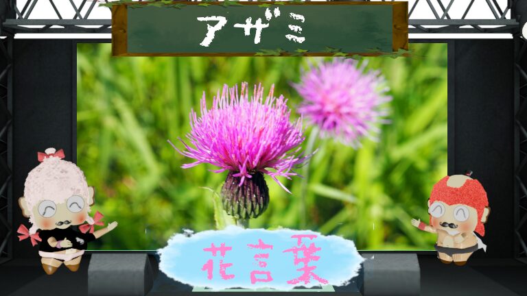アザミの花言葉は怖いの?キレイなトゲから生まれた由来とは?