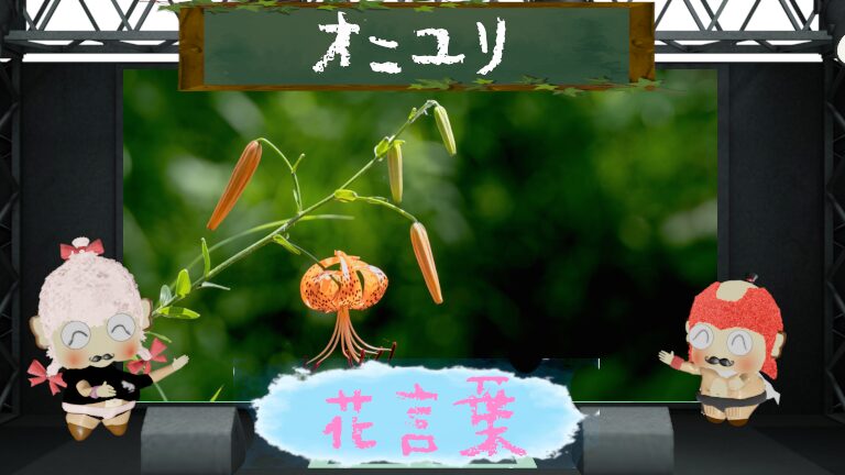 オニユリの花言葉は怖いの？鬼という名前の印象が１つの原因？