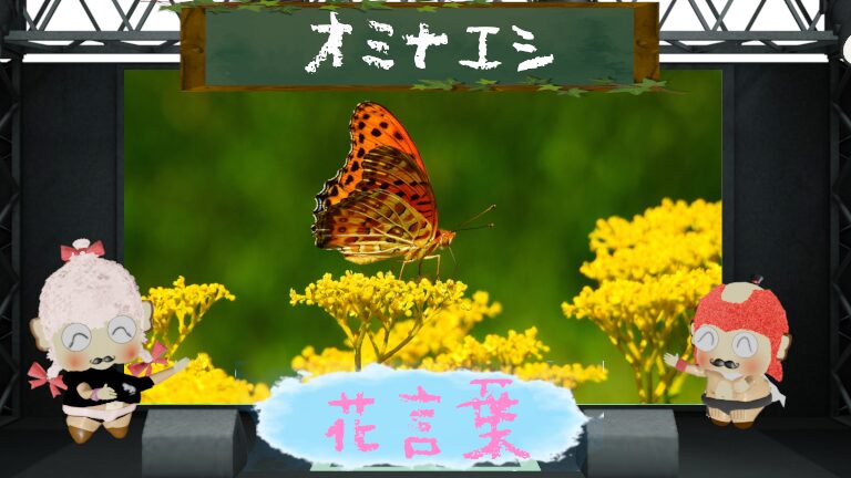 オミナエシの花言葉！怖い理由から秋の七草を徹底解説