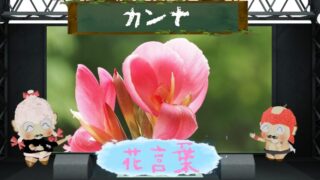 アザミの花言葉は怖いの？キレイなトゲから生まれた由来とは？