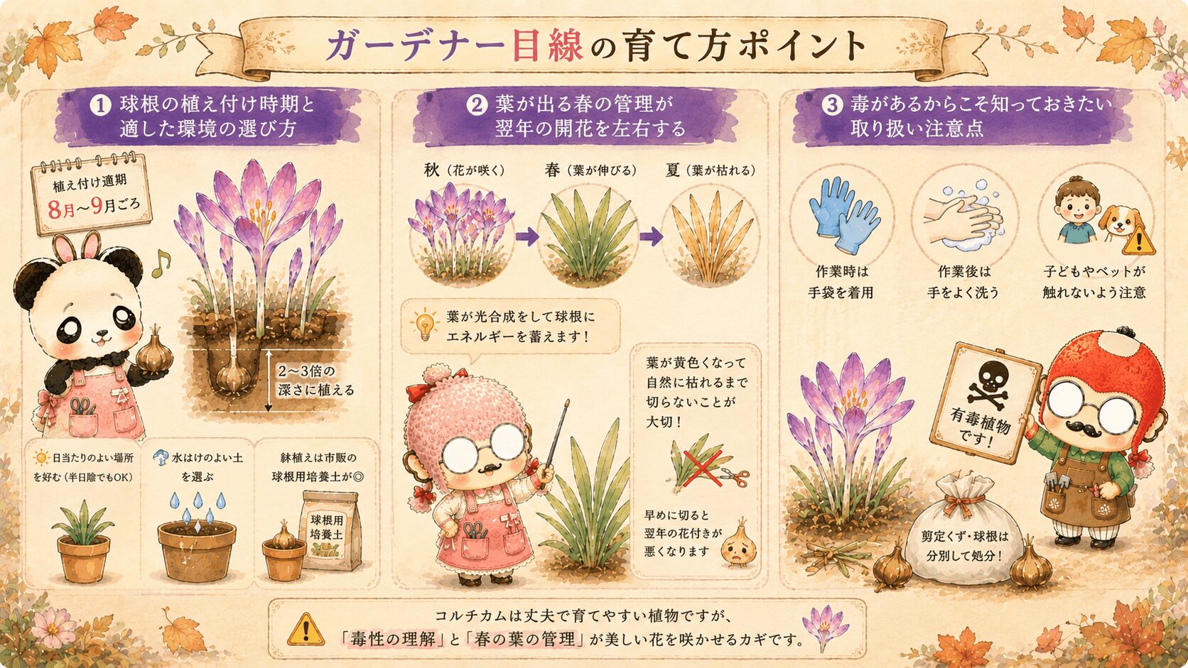 ガーデナー目線のコルチカム育成ガイド