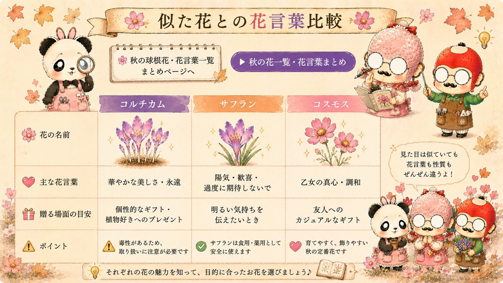 コルチカムと似た花との花言葉比較
