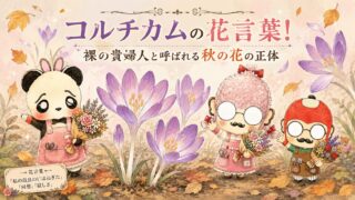 コルチカムの花言葉！裸の貴婦人と呼ばれる秋の花の正体