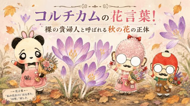 コルチカムの花言葉！裸の貴婦人と呼ばれる秋の花の正体