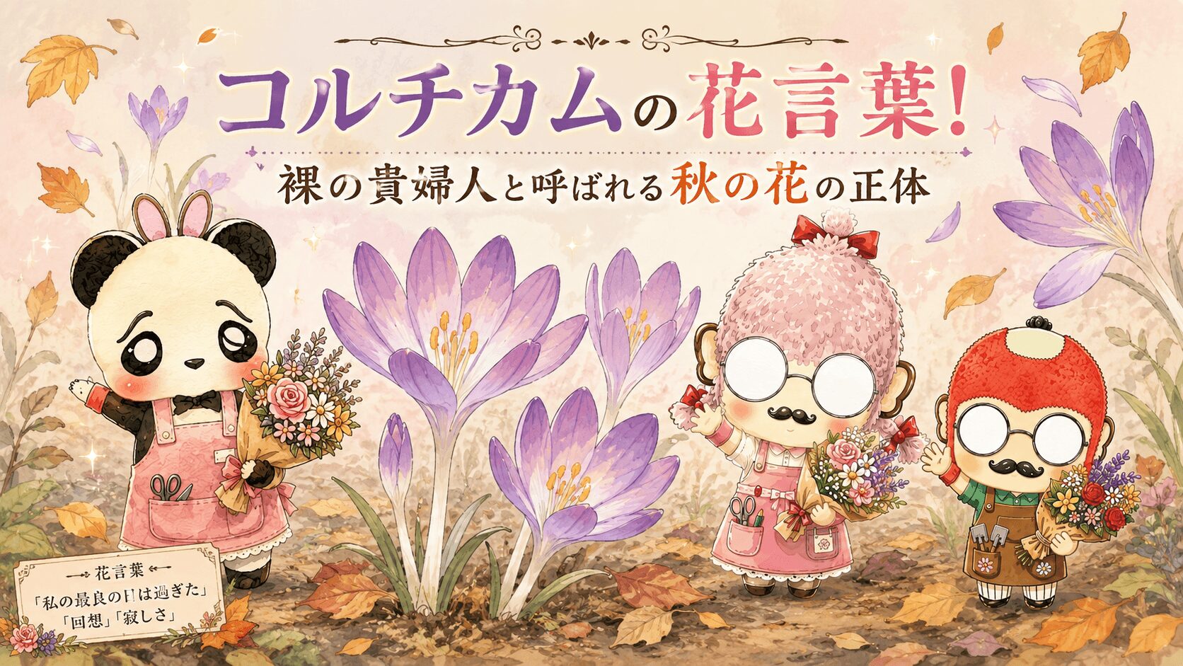コルチカムの花言葉！裸の貴婦人と呼ばれる秋の花の正体