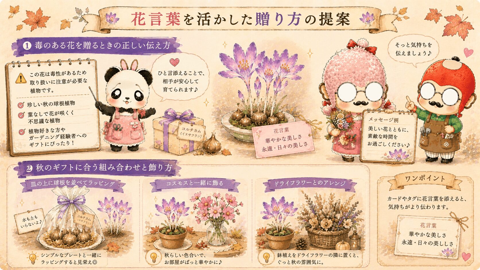 コルチカムの花言葉を活かした贈り方