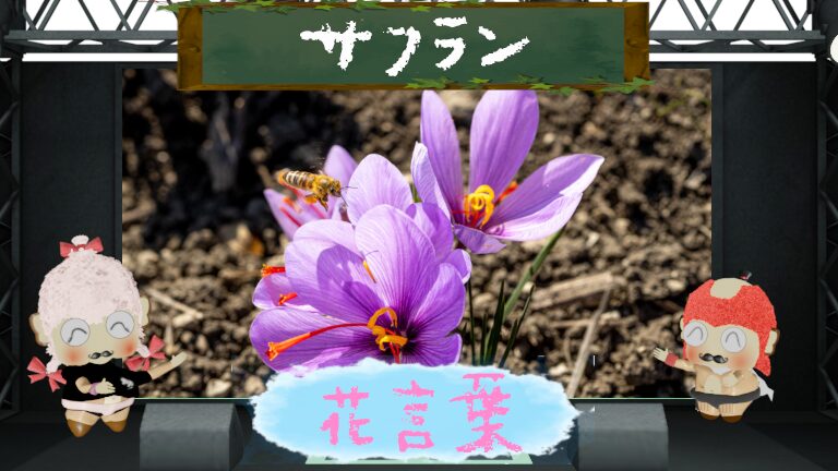 サフランの花言葉は怖い?色別やスパイスとしての魅力を解剖!
