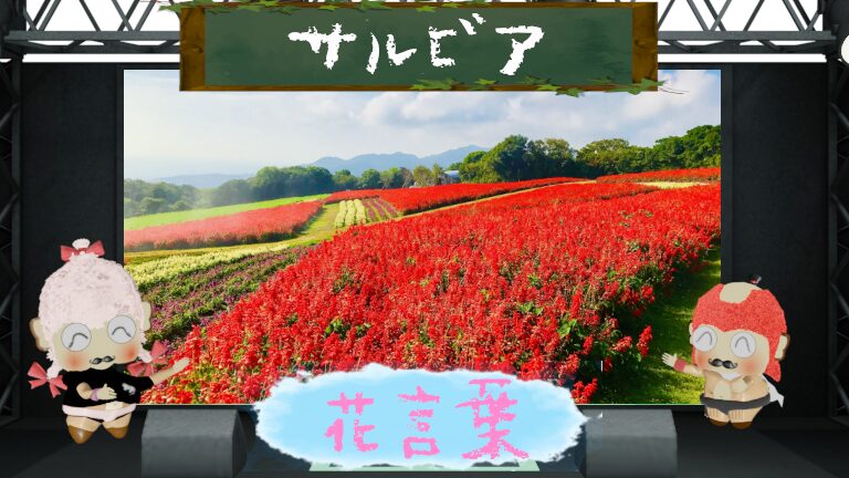 サルビアの花言葉は怖いの？人を救う花の由来や色別花言葉を解説