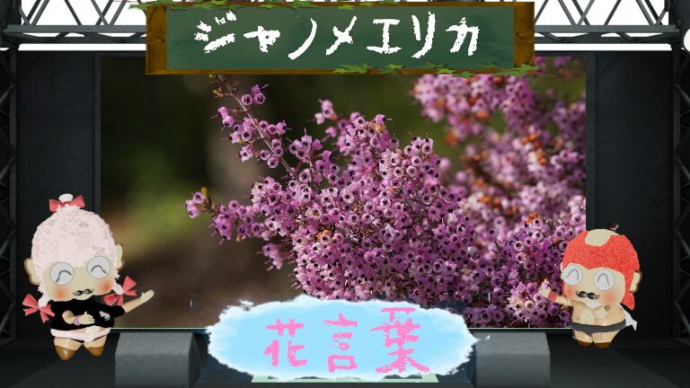 ジャノメエリカの花言葉！相反する陰と陽の花言葉は怖いの？