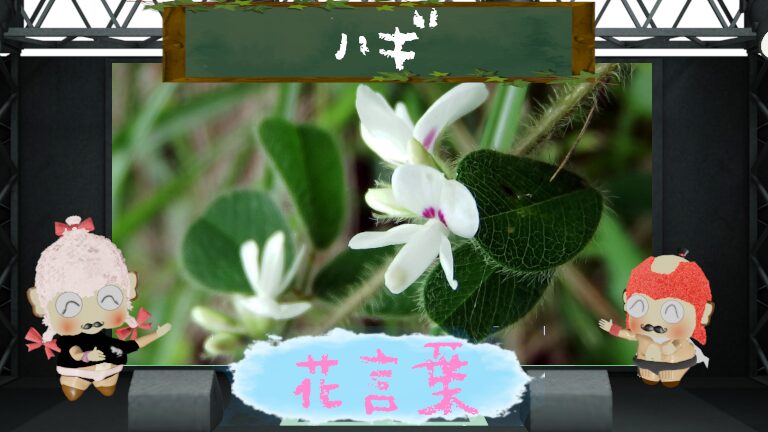 ハギの花言葉！日本文化に深く関わる花の魅力を大分析！