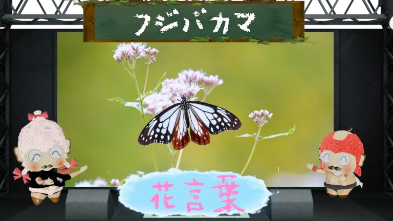 フジバカマの花言葉は怖いの？蝶を引き寄せる魅力花の由来とは？