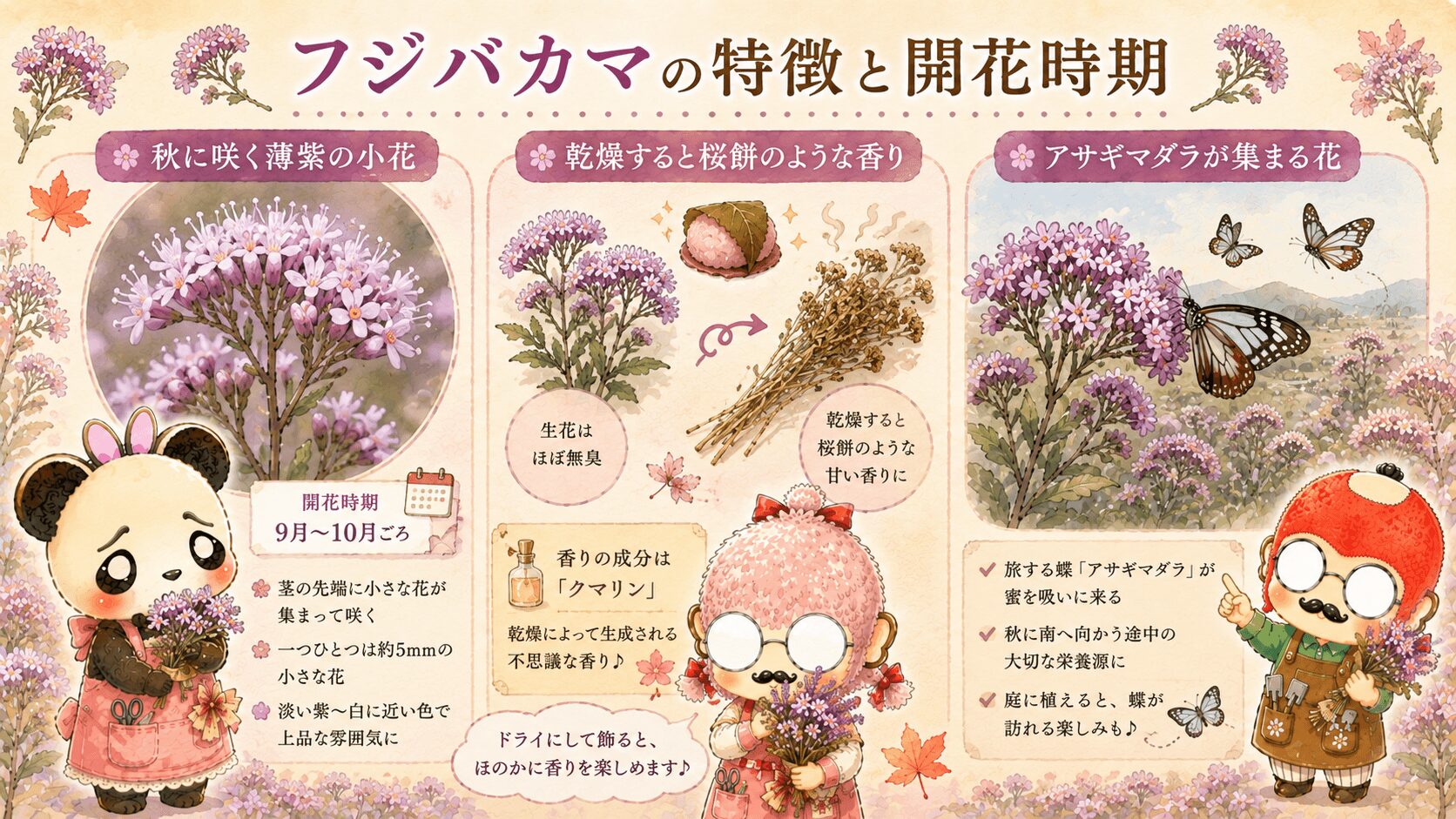 フジバカマの特徴と開花時期