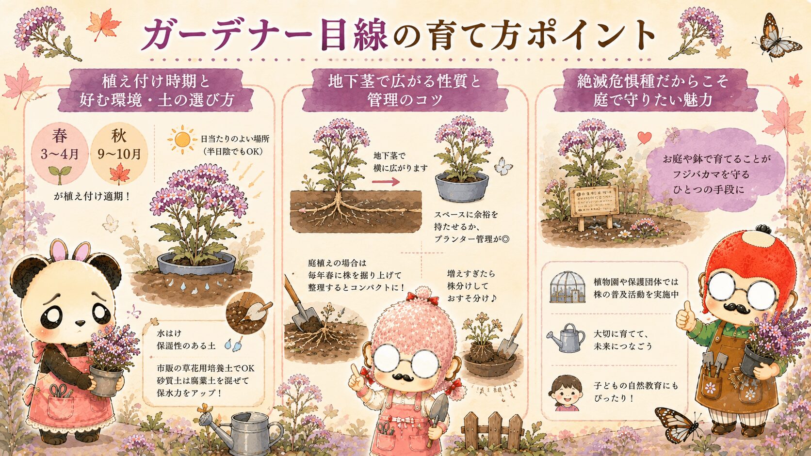 フジバカマの育て方