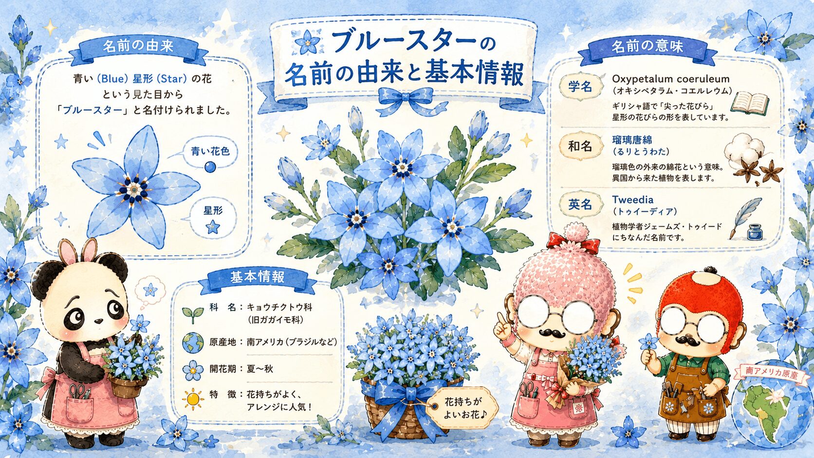 ブルースターの基本情報