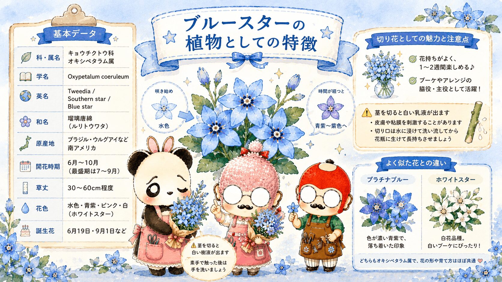ブルースターの植物としての特徴