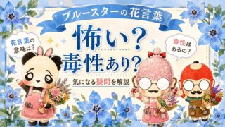 ブルースターの花言葉｜怖い？毒性あり？気になる疑問を解説