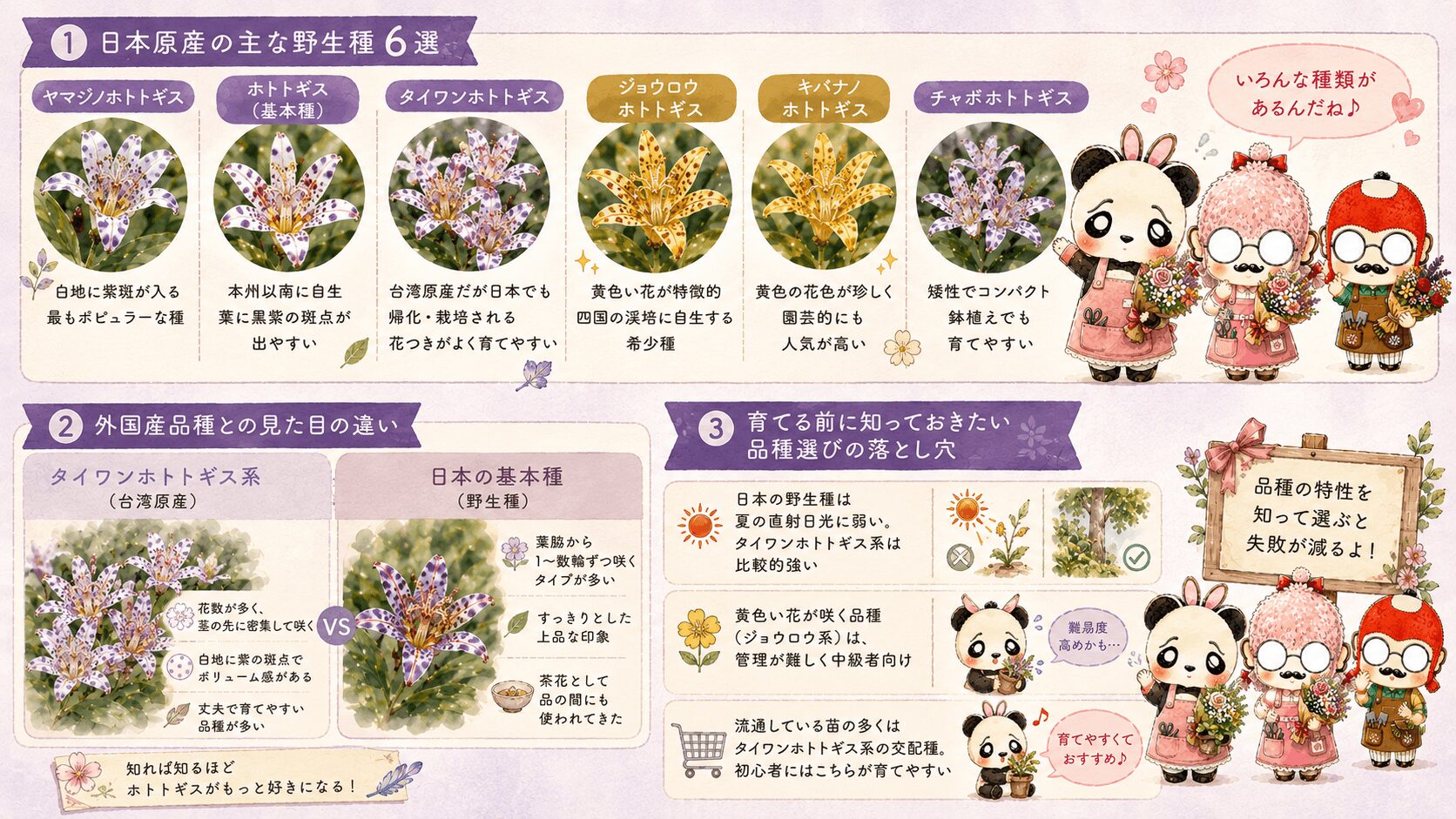 ホトトギスの園芸品種