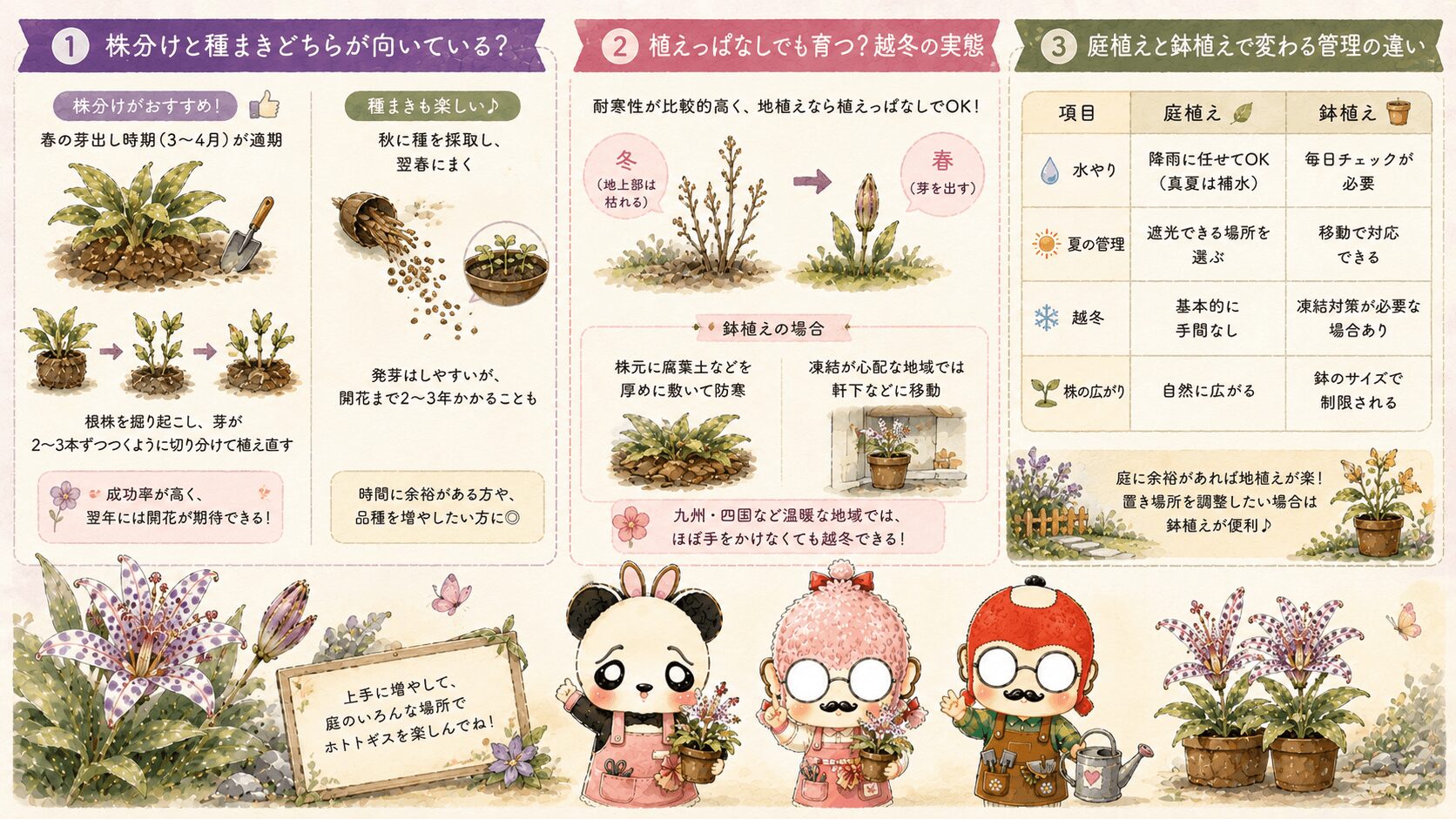 ホトトギスの増やし方