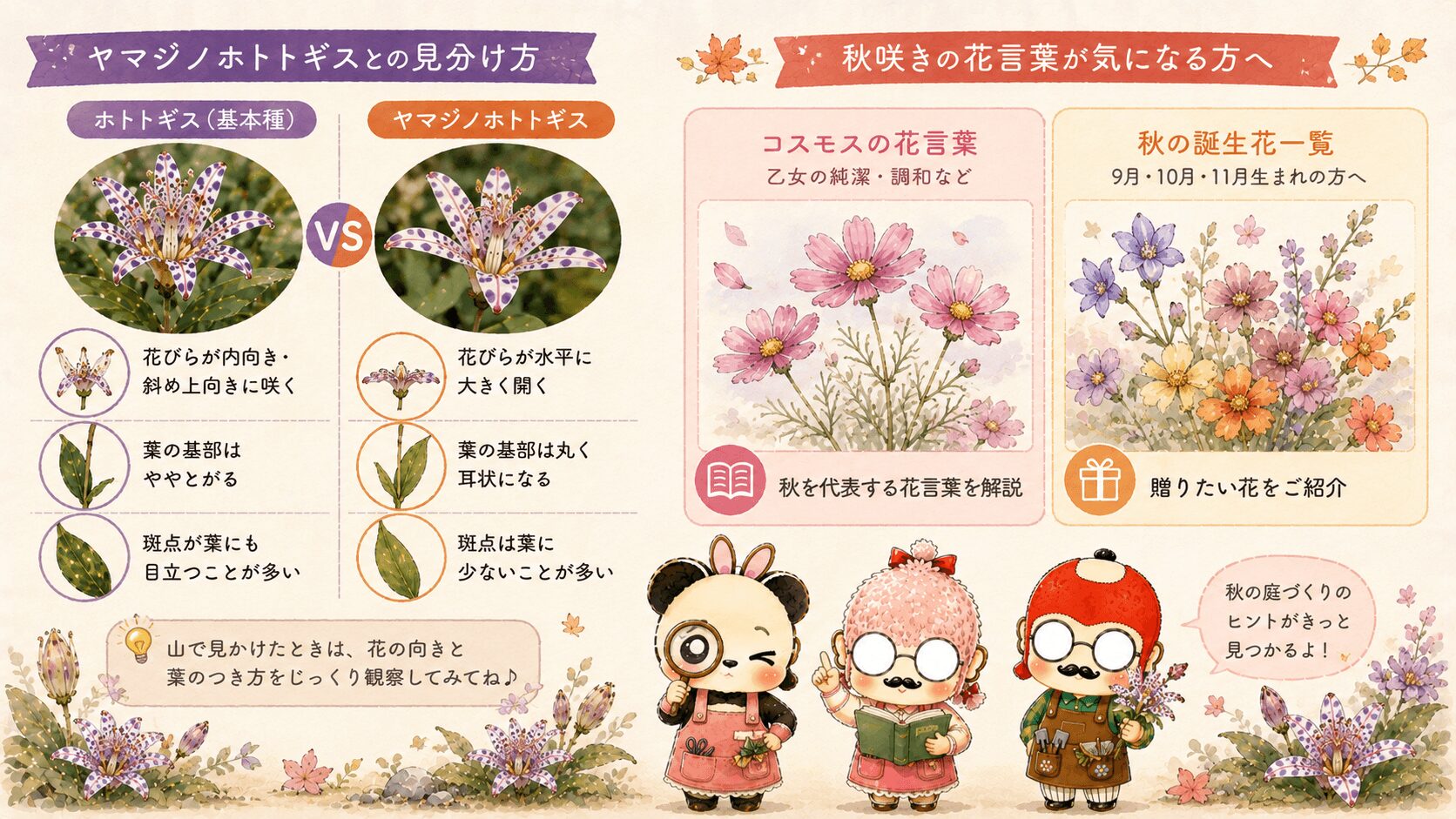 ホトトギスの花言葉に関連する花