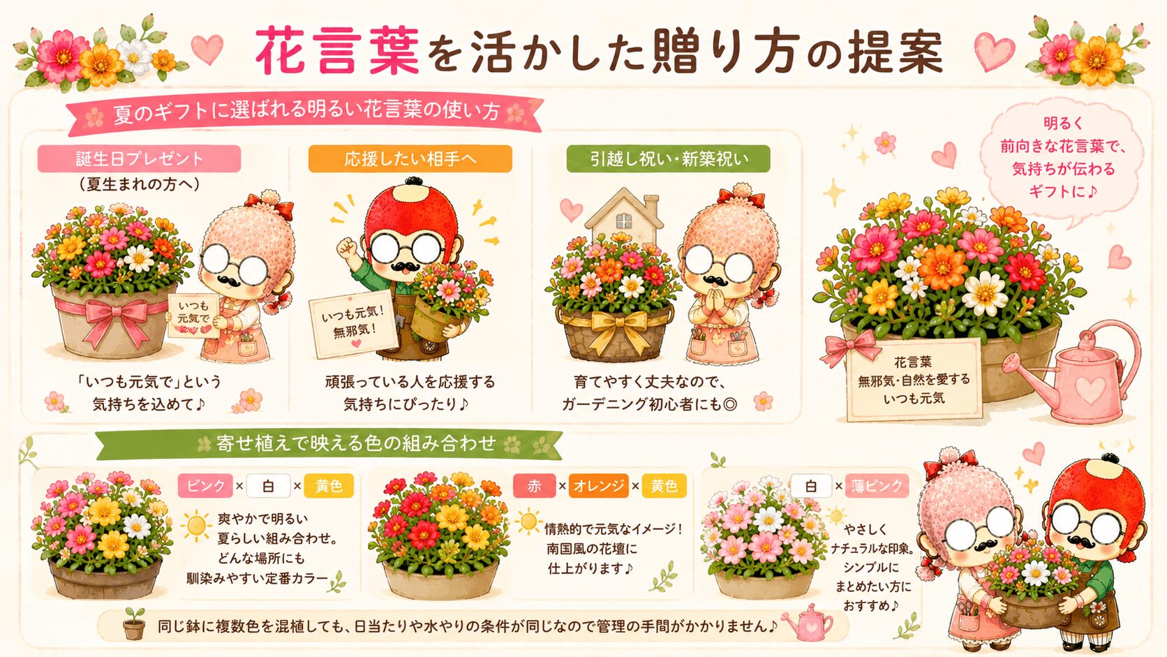 ポーチュラカの花言葉を活かした贈り方