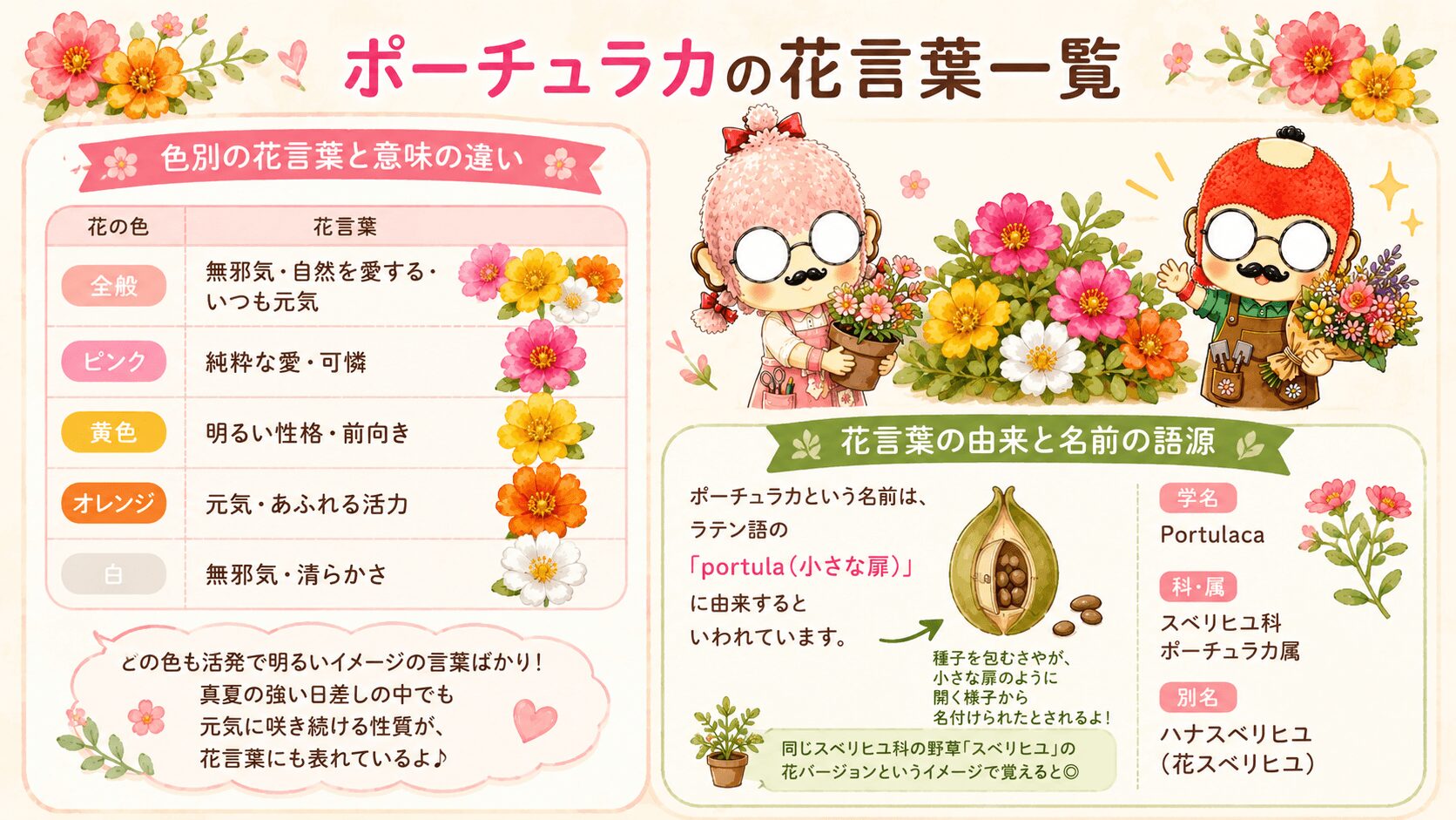ポーチュラカの花言葉一覧
