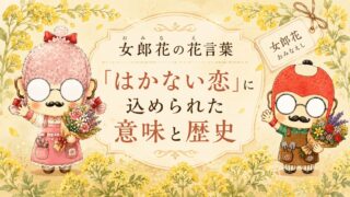 女郎花の花言葉「はかない恋」に込められた意味と歴史