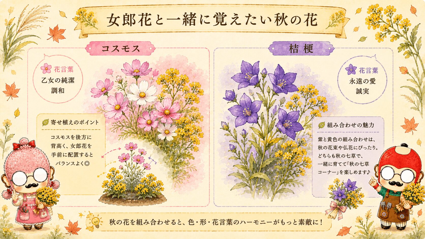 女郎花の花言葉に関連する花