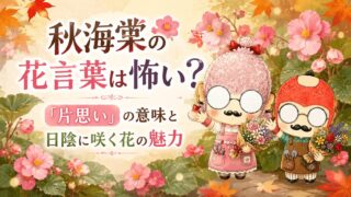 秋海棠の花言葉は怖い？「片思い」の意味と日陰に咲く花の魅力
