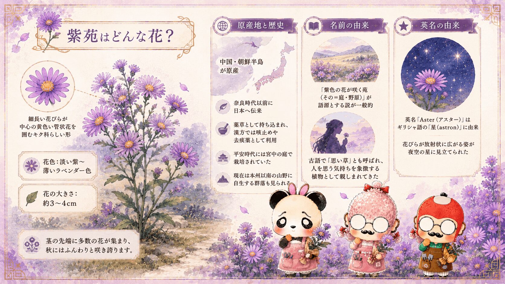 紫苑とはどんな花なのか