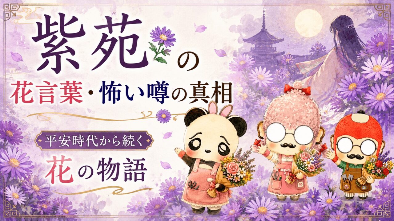 紫苑の花言葉・怖い噂の真相|平安時代から続く花の物語