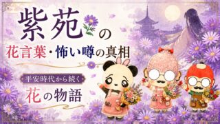 紫苑の花言葉・怖い噂の真相｜平安時代から続く花の物語