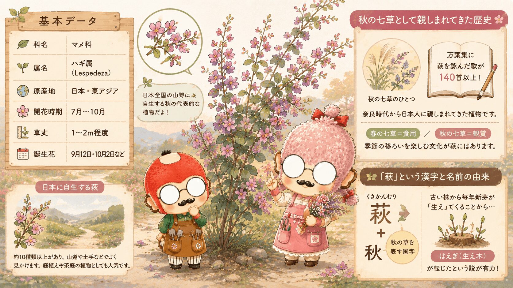 萩とはどんな植物？