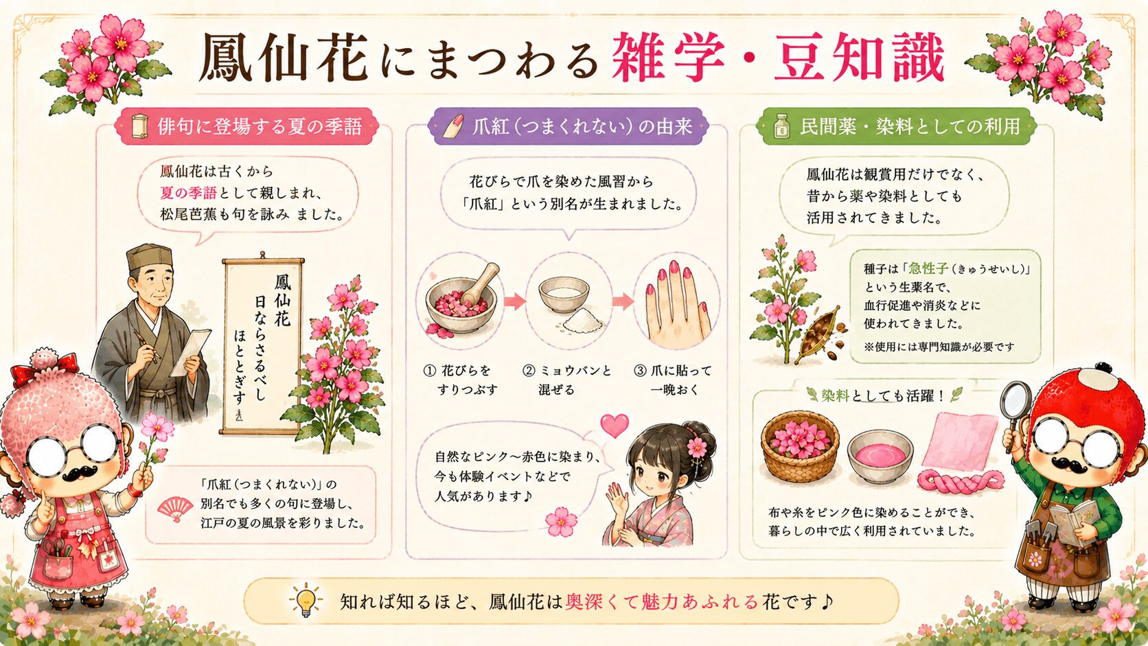 鳳仙花にまつわる雑学