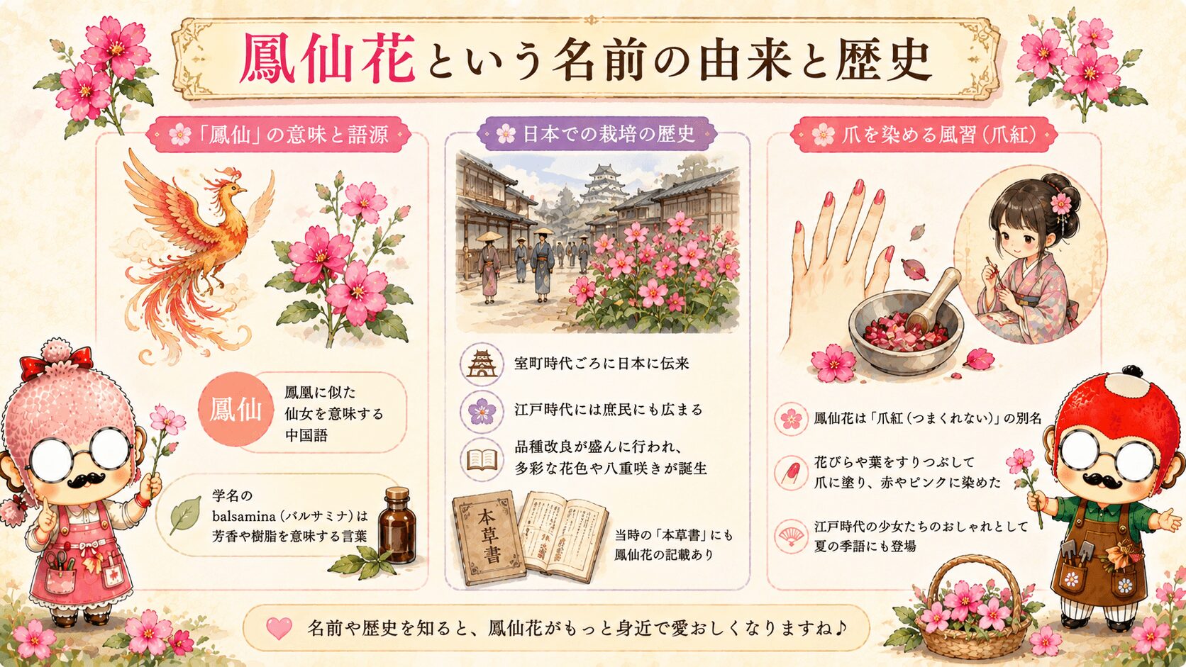 鳳仙花の名前の由来