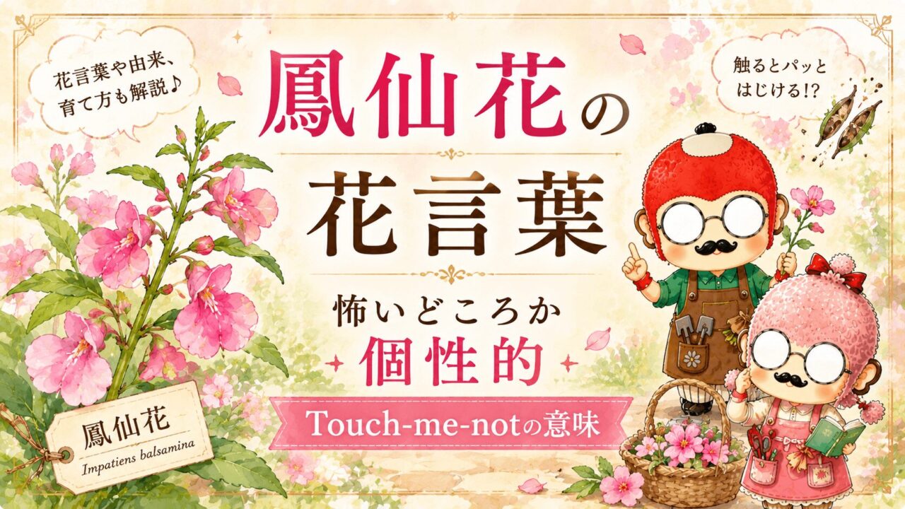 鳳仙花の花言葉|怖いどころか個性的、Touch-me-notの意味