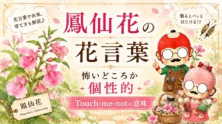 鳳仙花の花言葉｜怖いどころか個性的、Touch-me-notの意味