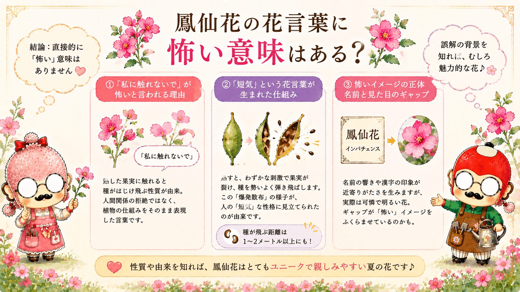 鳳仙花の花言葉は怖いのか