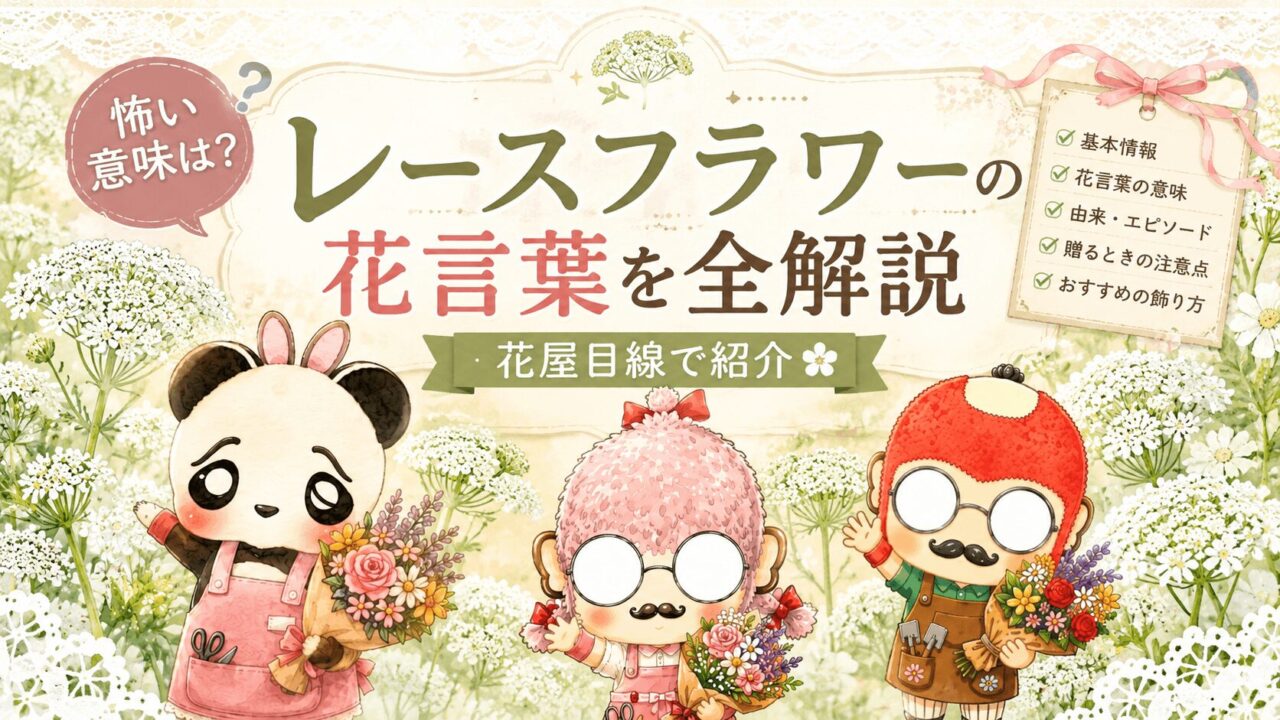 レースフラワーの花言葉を全解説｜怖い意味は？花屋目線で紹介