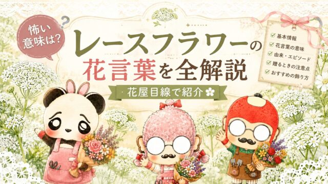 レースフラワーの花言葉を全解説｜怖い意味は？花屋目線で紹介