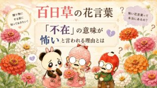 百日草の花言葉「不在」の意味が怖いと言われる理由とは