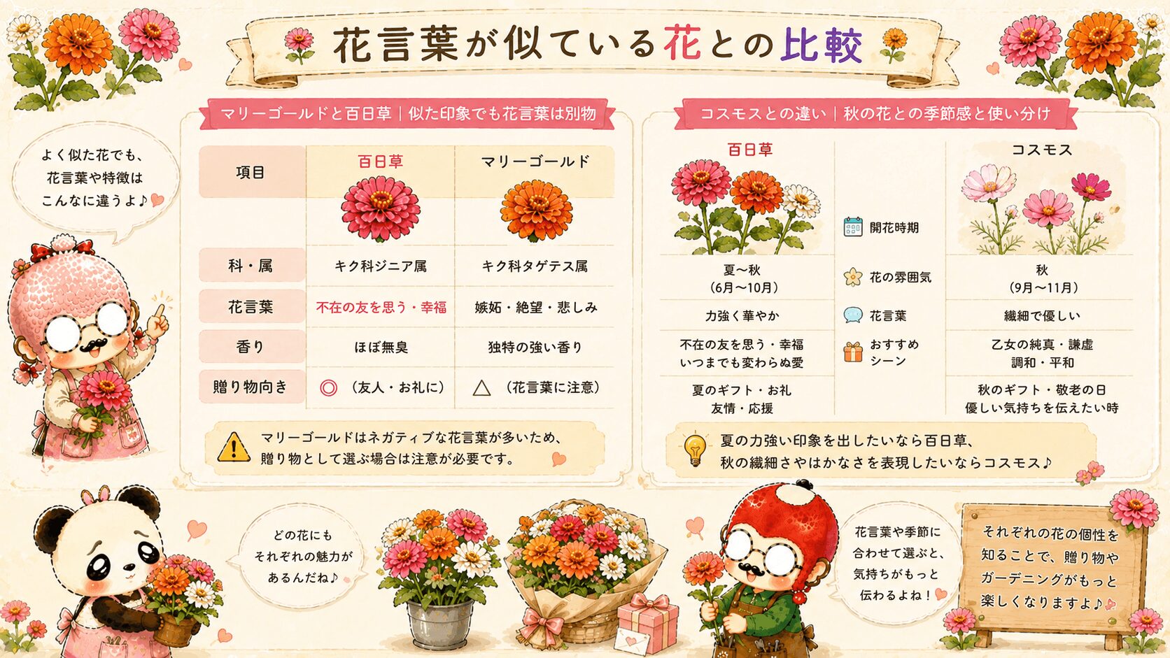 百日草の花言葉と似ている花