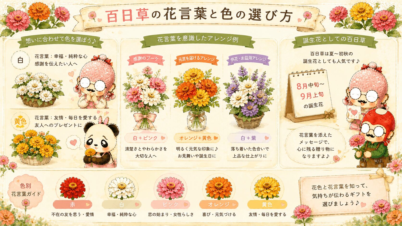 百日草の花言葉と色の選び方