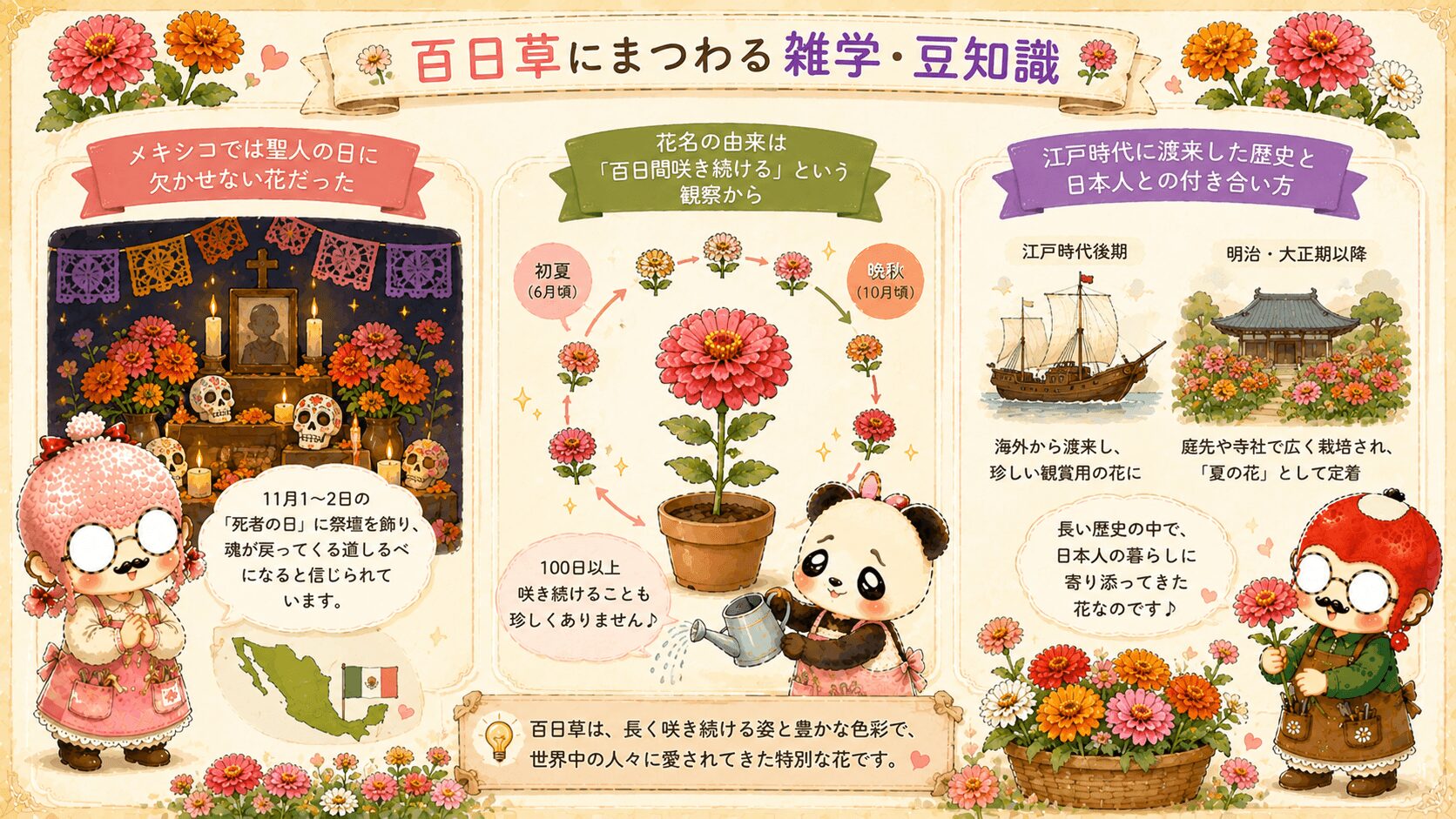 百日草の雑学や豆知識