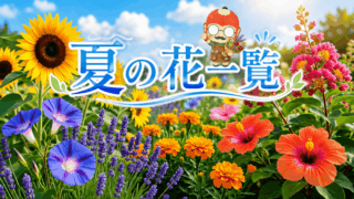 夏の花一覧・画像で確認｜この季節だけ咲く花を見逃さないために