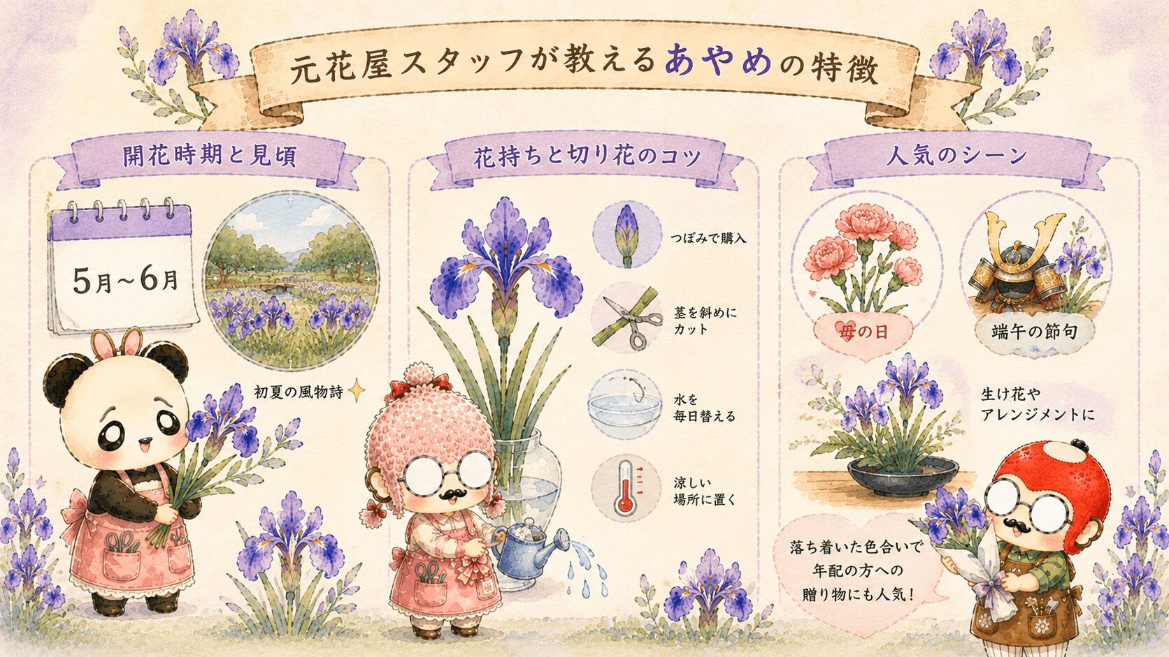 あやめの特徴