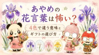 あやめの花言葉は怖い？4色で違う意味とギフトの選び方