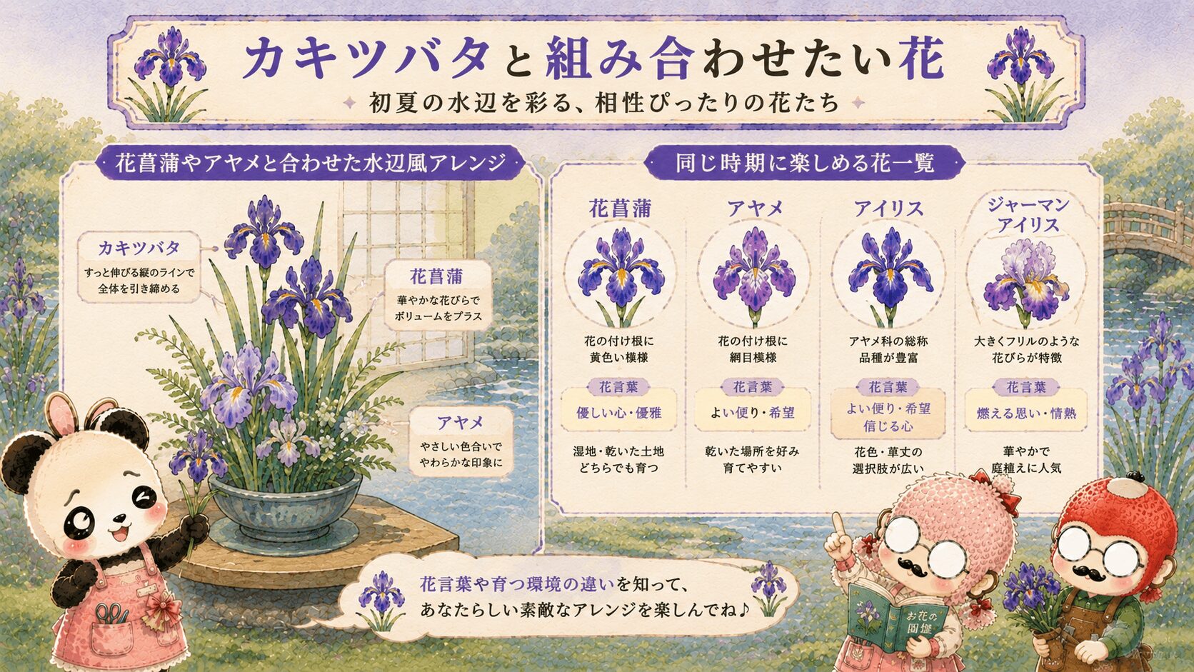カキツバタと相性の良い花々