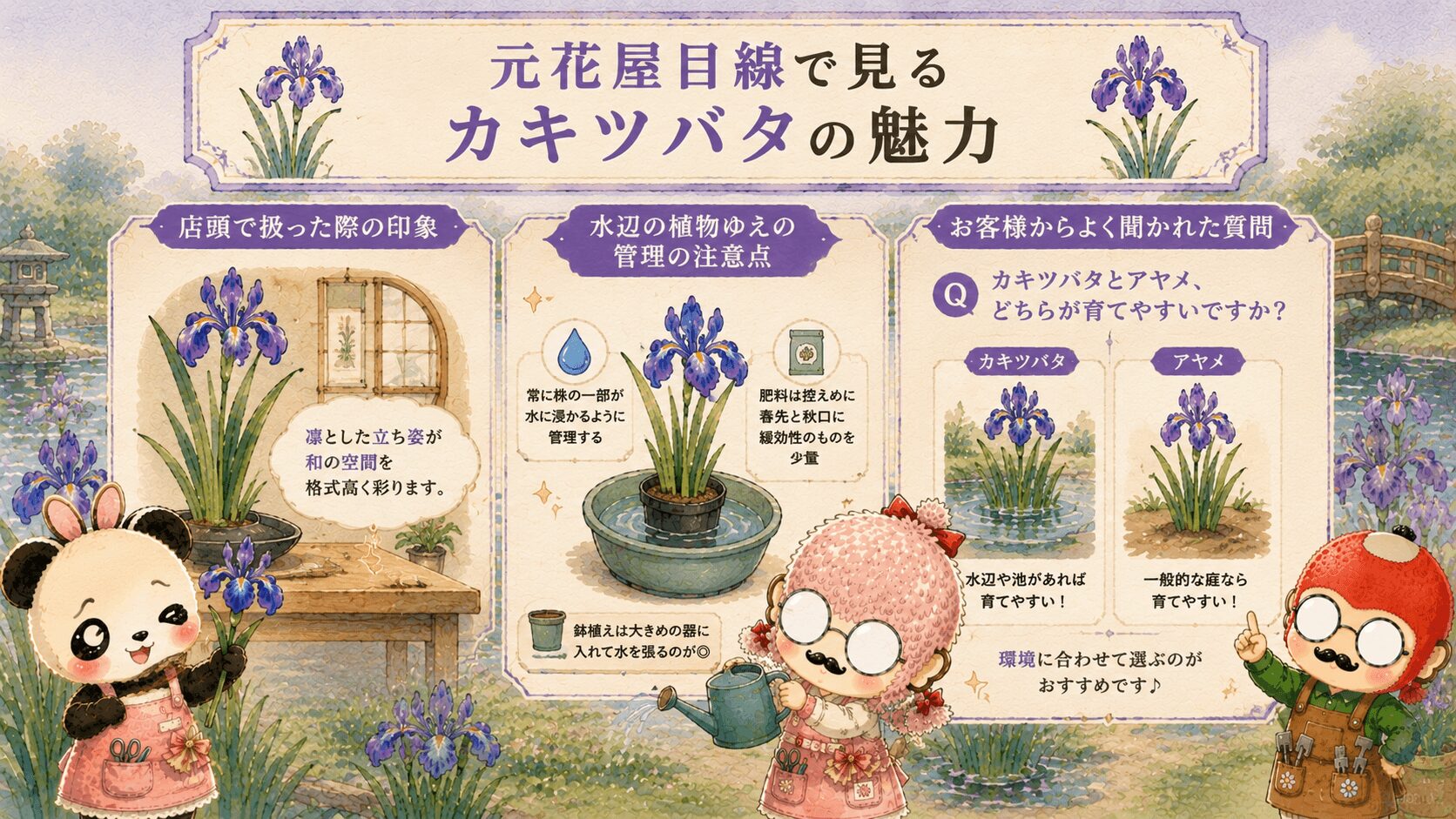 カキツバタの魅力