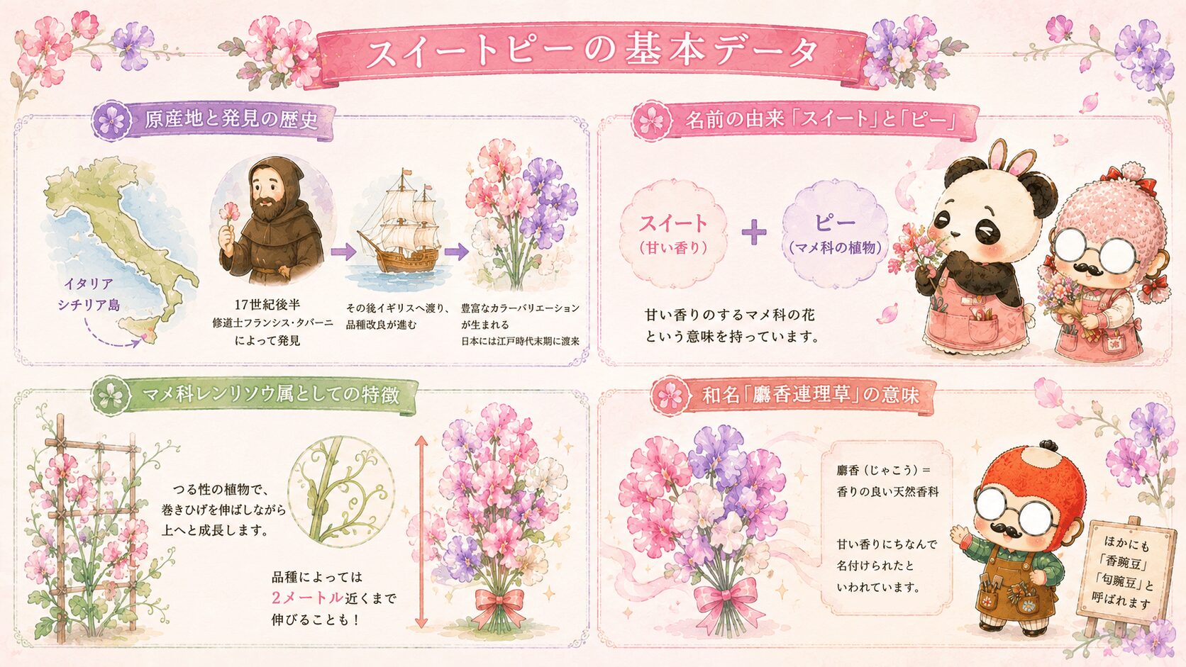 スイートピーの基本データ