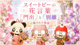 スイートピーの花言葉「門出」「別離」に隠された物語